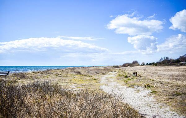 Cosy Cottage By The South Coast Trelleborg Exteriér fotografie